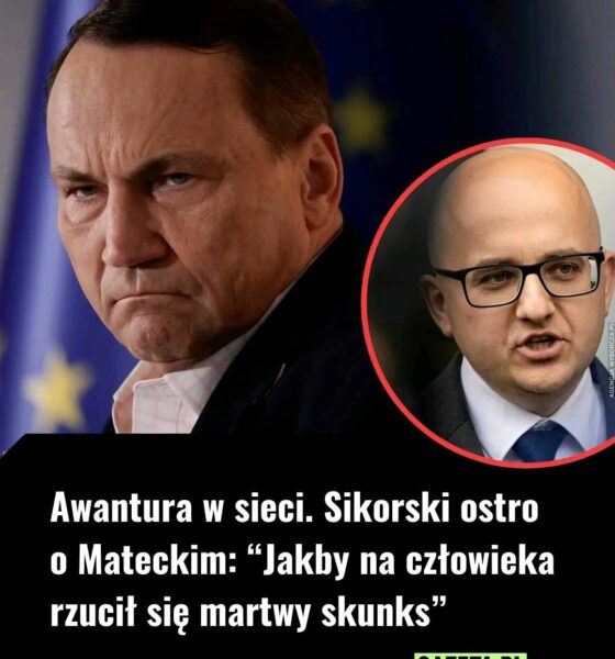 “Jesteś plugawą, antypolską kreaturą” – odpowiedział mu polityk PiS.