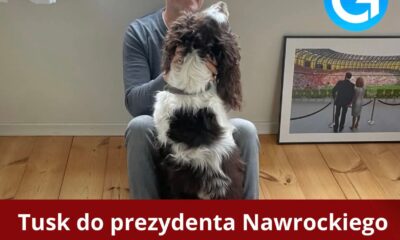 Donald Tusk pojechał do Afryki. Internauci nie szczędzą mu krytyki Czytaj więcej: